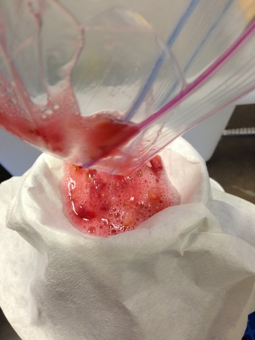 Filtering out the excess materials from the strawberry